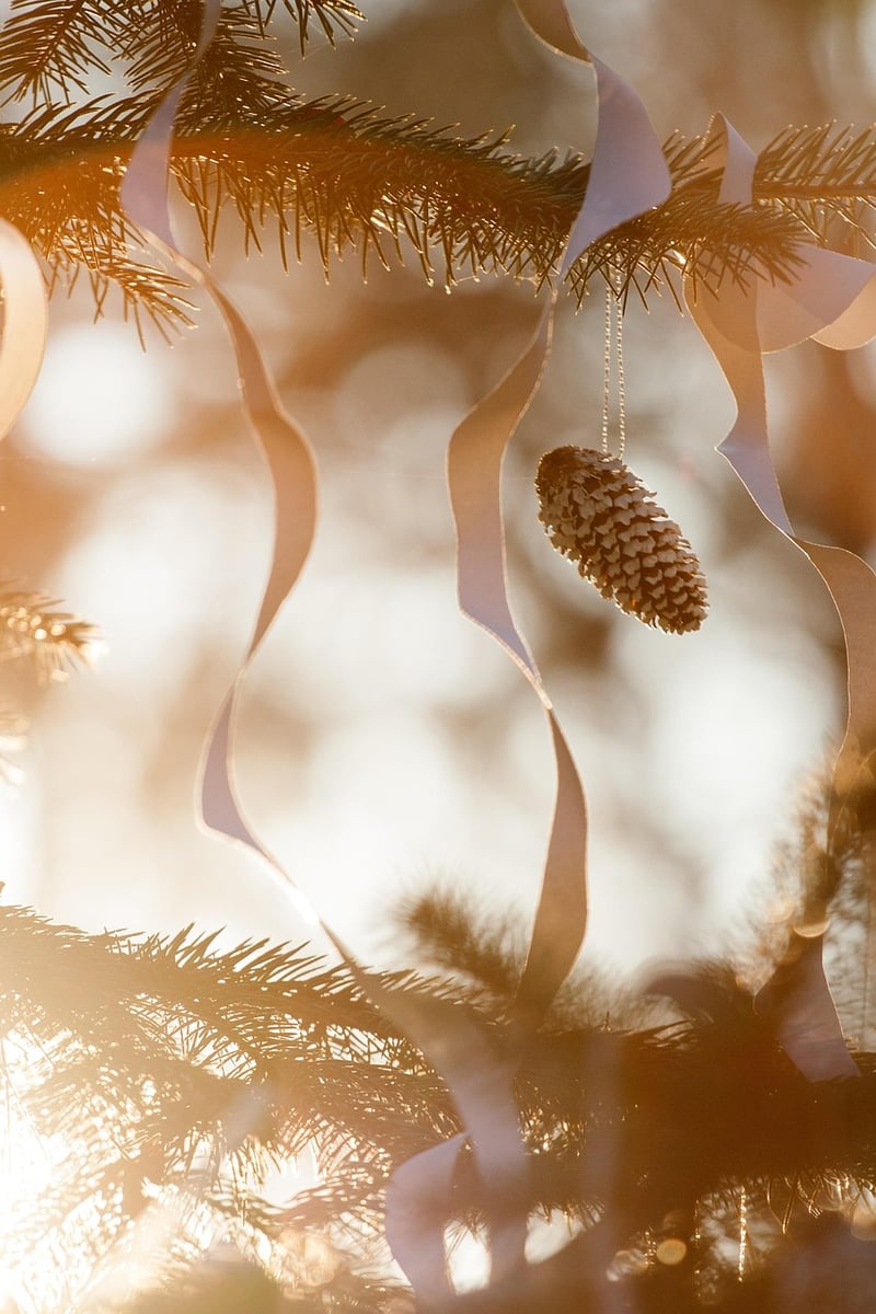 Festive Traditions